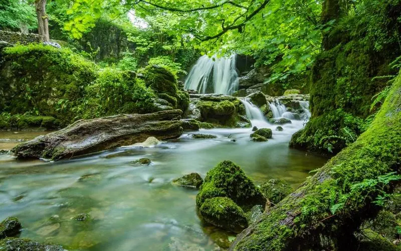 高标准高性能智慧